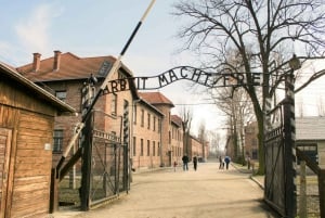 Auschwitz-Birkenau Guided Tour & Transfer from Krakow
