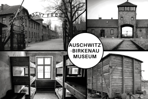 Visita guiada a Auschwitz-Birkenau e transfer a partir de Cracóvia