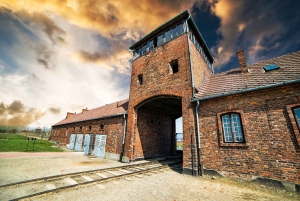 Visita guiada a Auschwitz-Birkenau e transfer a partir de Cracóvia