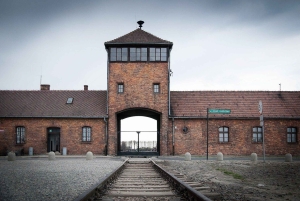 Visita guiada a Auschwitz-Birkenau e transfer a partir de Cracóvia