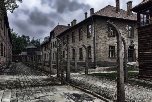 Visita guiada a Auschwitz-Birkenau e transfer a partir de Cracóvia
