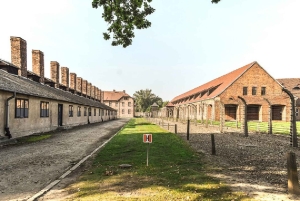 Visita guiada a Auschwitz-Birkenau e transfer a partir de Cracóvia