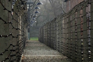 Visita guiada a Auschwitz-Birkenau e transfer a partir de Cracóvia