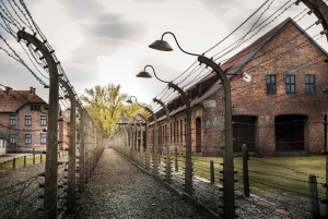 Krakow: Auschwitz Birkenau Hotel Pickup and Lunch Options
