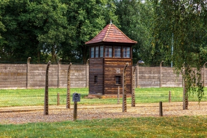 Krakow: Auschwitz Birkenau Hotel Pickup and Lunch Options