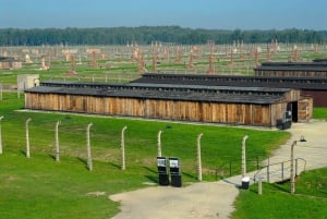 Auschwitz-Birkenau Museum Full-Day Tour with Personal Driver