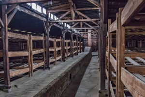 Auschwitz-Birkenau Museum Full-Day Tour with Personal Driver