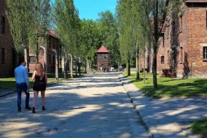 From Krakow: Auschwitz Birkenau Small Group Tour with Pickup