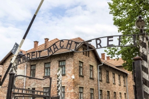 From Krakow: Auschwitz Birkenau Small Group Tour with Pickup