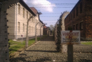 Auschwitz-Birkenau Museum: Guidet tur fra Krakow