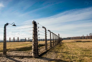 Muzeum Auschwitz-Birkenau: Wycieczka z przewodnikiem z Krakowa