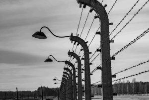 Auschwitz-Birkenau Museumtour vanuit Krakau