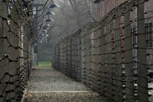 Auschwitz-Birkenau: tour privato da Katowice con trasferimento