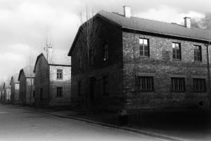 Auschwitz-Birkenau: tour privato da Katowice con trasferimento