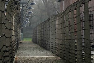 Auschwitz-Birkenau: tour privato da Katowice con trasferimento