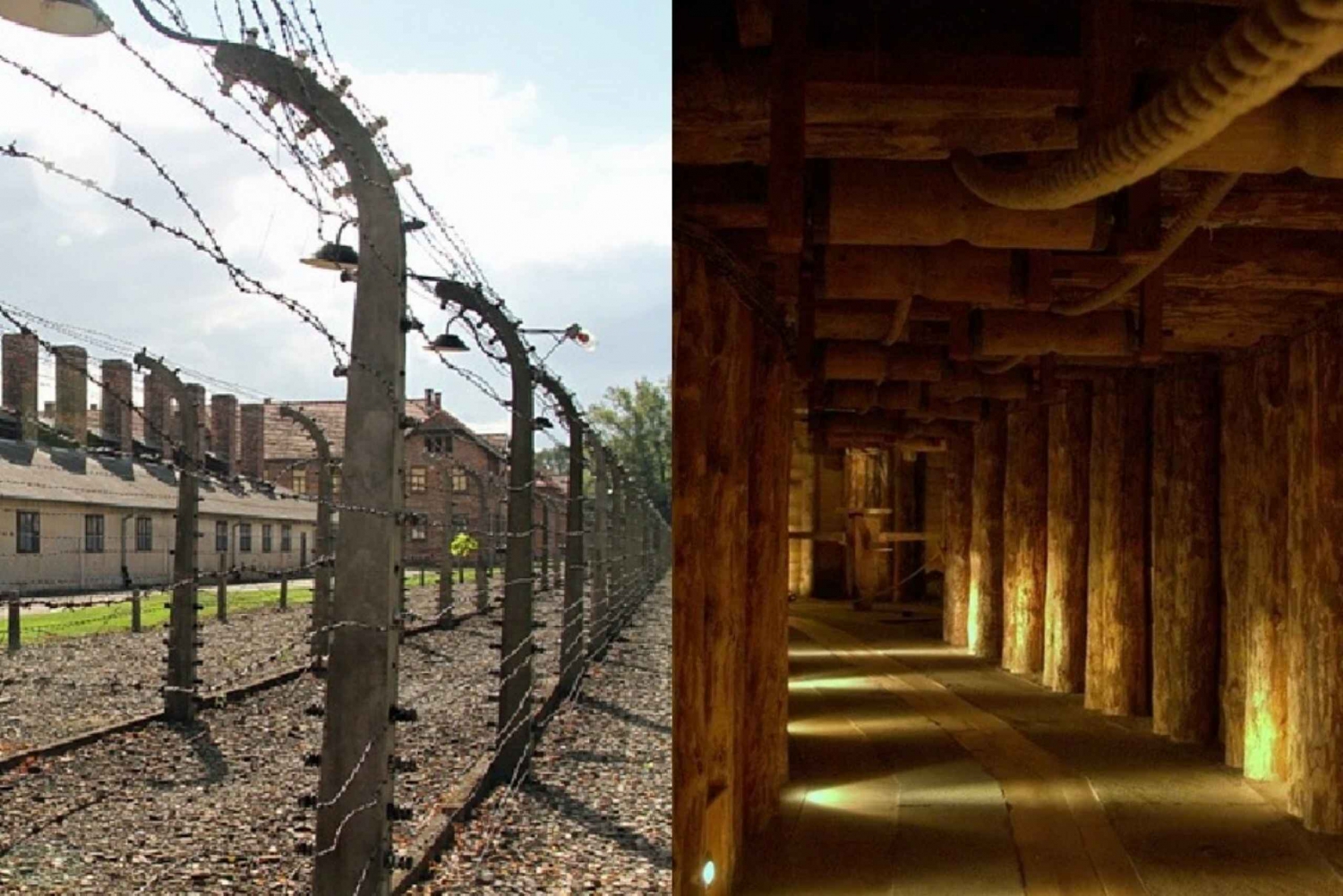 Auschwitz-Birkenau & Salt Mine Tour in One Day from Krakow