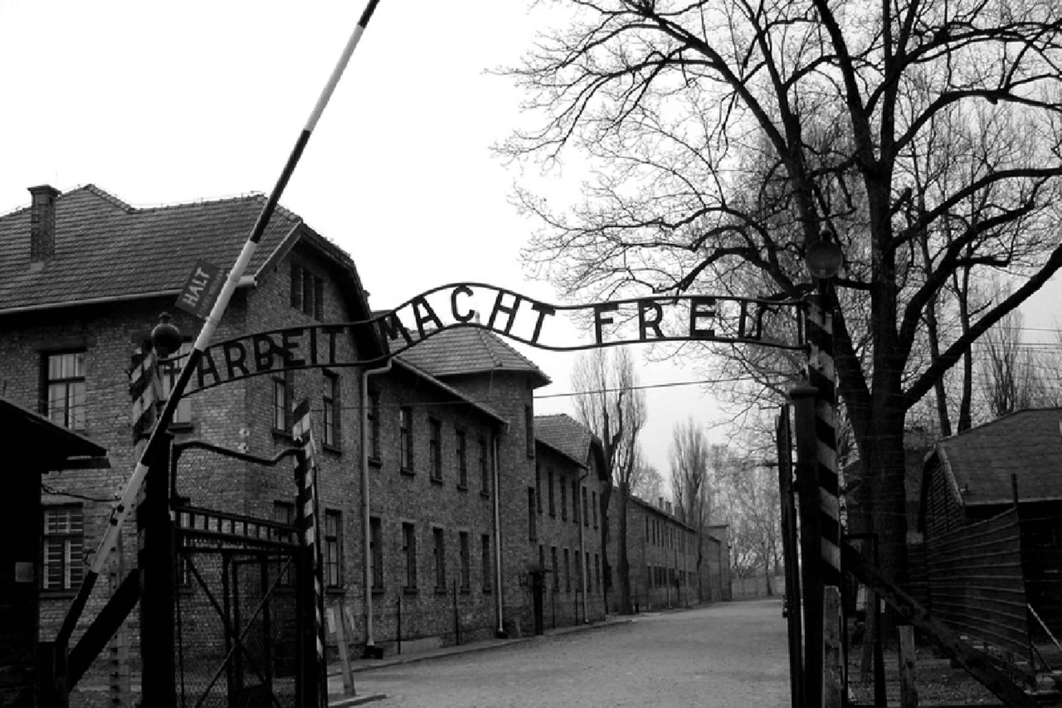 Auschwitz-Birkenau i Kopalnia Soli w jeden dzień z Krakowa