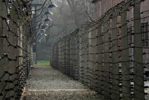Auschwitz-Birkenau & Salt Mine Tour in One Day from Krakow