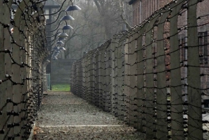 Auschwitz-Birkenau i Kopalnia Soli w jeden dzień z Krakowa