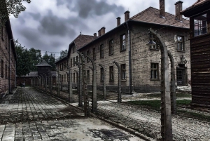 Auschwitz-Birkenau i Kopalnia Soli w jeden dzień z Krakowa