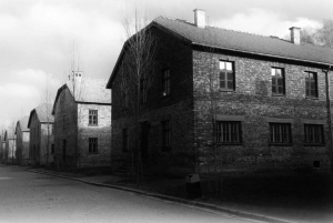 Auschwitz-Birkenau Tour from Katowice with Private Transfers