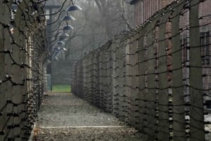 Auschwitz-Birkenau-tur fra Katowice med privat transport