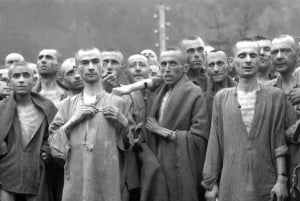 Auschwitz-Birkenau-tur fra Katowice med private overføringer