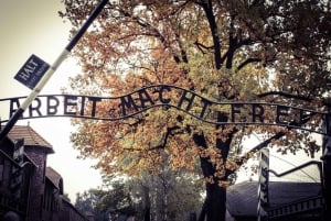 Auschwitz-Birkenau Tour ab Kattowitz mit privaten Transfers