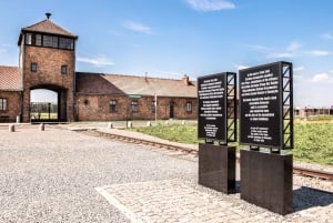 Auschwitz-Birkenau & Wieliczka Salt Mine: Day Tour & Lunch