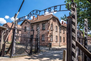 Auschwitz Ticket and Full-Day Tour from Krakow