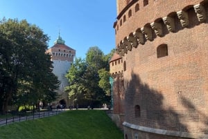 Cracovie : Visite guidée à vélo de la vieille ville et de Kazimierz