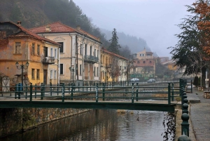 Bratislava/Slovakien: Trencin slott, Piestany Spa, kloster