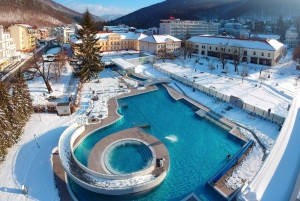 Bratislava/Slovakien: Trencin slott, Piestany Spa, kloster