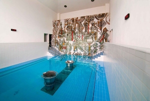 Bratislava/Slovakien: Trencin slott, Piestany Spa, kloster