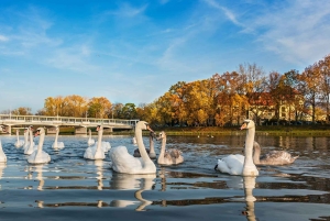 Bratislava/Slovakien: Trencin slott, Piestany Spa, kloster