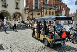 Cracow: Private City Highlights Sightseeing Car Tour