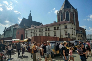 Cracow: Private City Highlights Sightseeing Car Tour