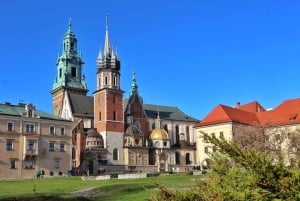 Cracovia: tour guidato del Castello del Wawel e della cattedrale