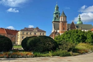 Cracovia: tour guidato del Castello del Wawel e della cattedrale