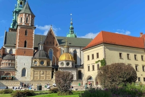 Krakau: rondleiding door het kasteel en de kathedraal van Wawel