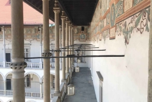 Krakau: rondleiding door het kasteel en de kathedraal van Wawel