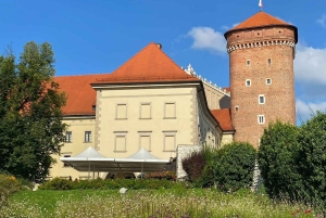 Krakau: rondleiding door het kasteel en de kathedraal van Wawel