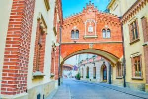 Billetter til Czartoryski-palasset og omvisning i Krakóws gamleby