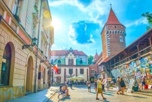 Billetter til Czartoryski-palasset og omvisning i Krakóws gamleby