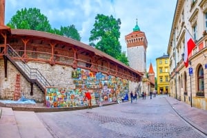 Billetter til Czartoryski-palasset og omvisning i Krakóws gamleby