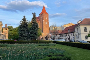 Guida esclusiva di Cracovia