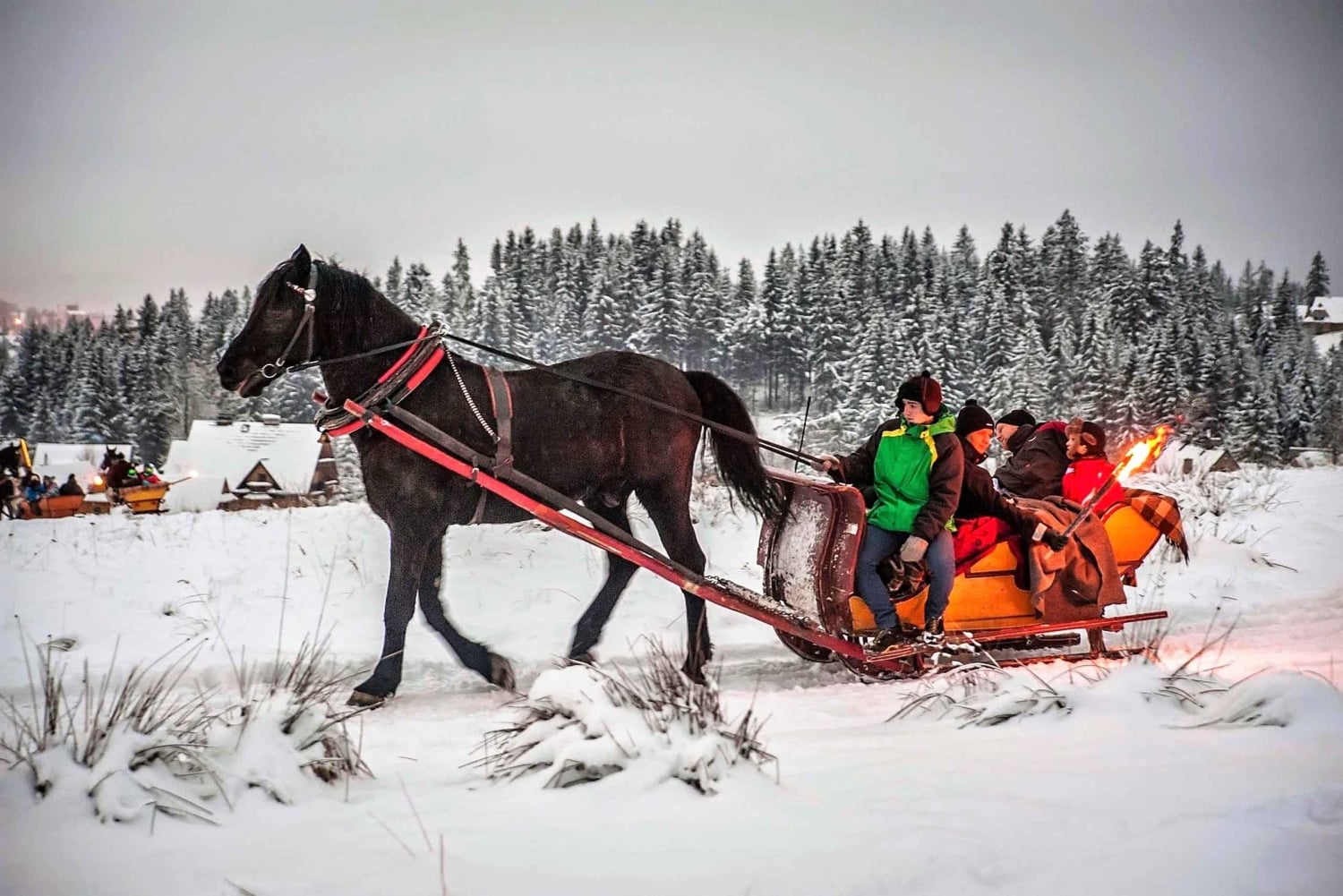Fram Cracovia: Paseo en trineo por los montes Tatra en Zakopane
