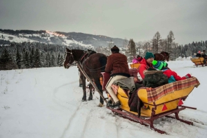 Fram Cracovia: Paseo en trineo por los montes Tatra en Zakopane