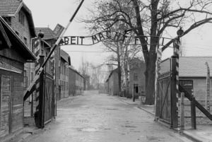 From Krakow: Guided Auschwitz-Birkenau Group Tour by Minivan