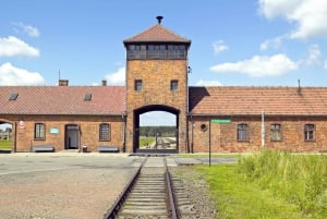 Cracovie : Visite guidée d'Auschwitz-Birkenau et de la mine de sel